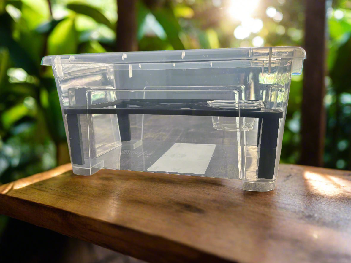 Perch kit 6qt