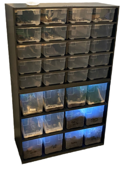 The Container Store Shoebox rack