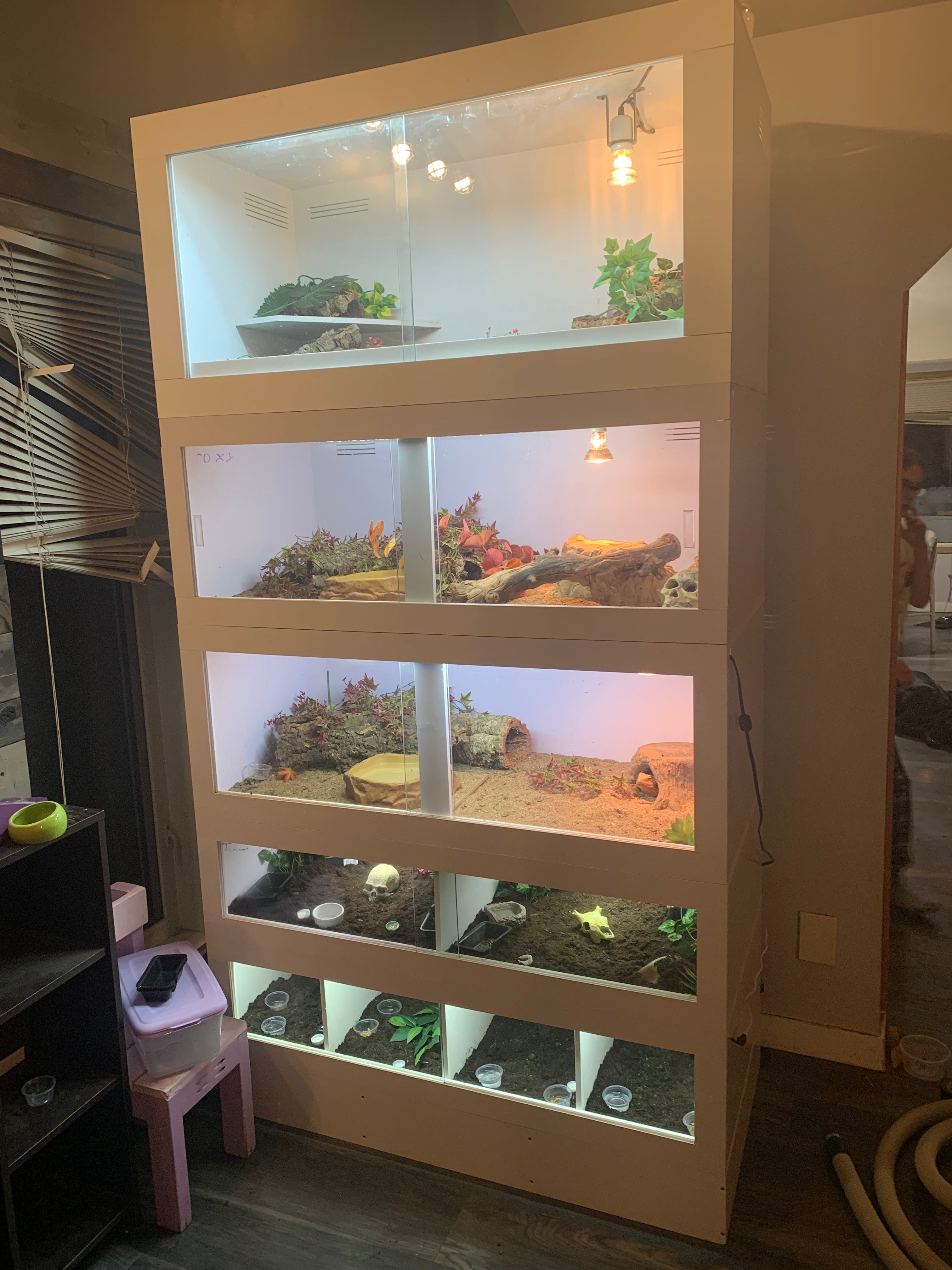 Reptile hot sale pvc enclosure